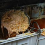 Using,A,Fine,Mesh,Strainer,To,Scoop,Up,Waste,From