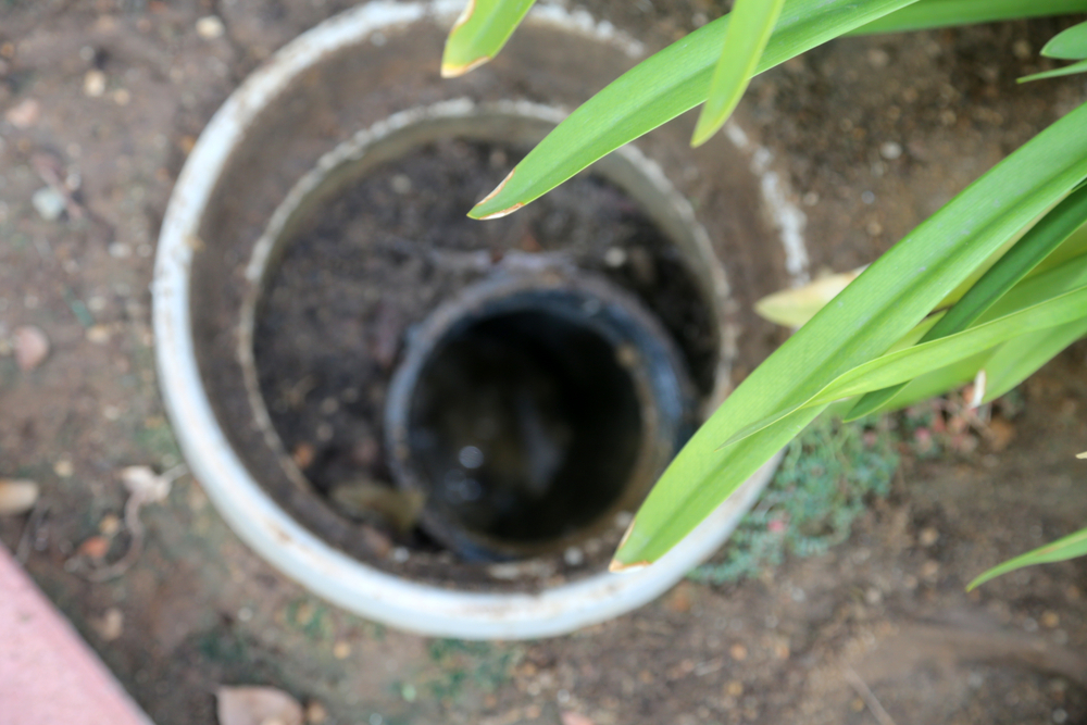 Sewer,Drain.,A,Home,Sewer,Drain,Access,So,A,Plumber